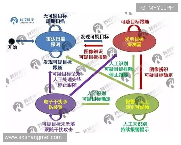 南京足球队的防反战术解析及其在比赛中的应用策略探讨