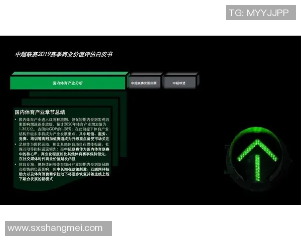 足球明星薪资与市场价值的深度解析与对比分析