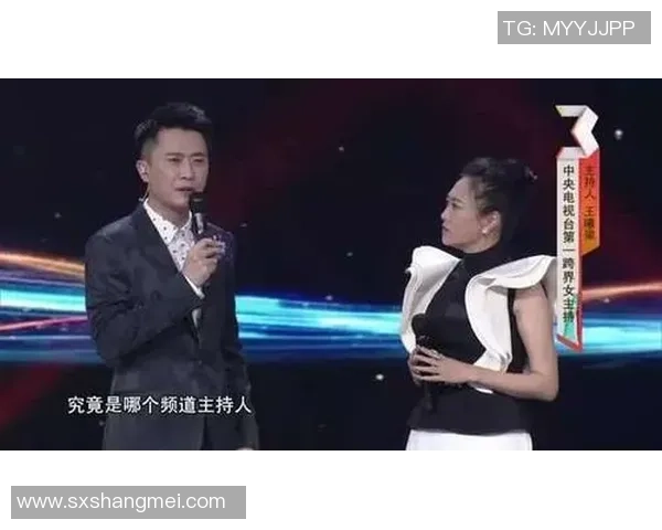 对话杨磊：回顾乒乓球生涯的辉煌与挑战之路