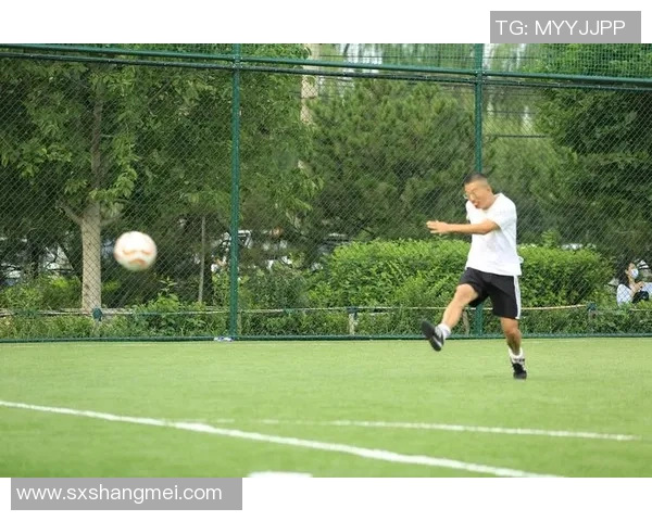 杭州篮球队的拼搏之路：从挑战赛到荣耀的奋斗历程