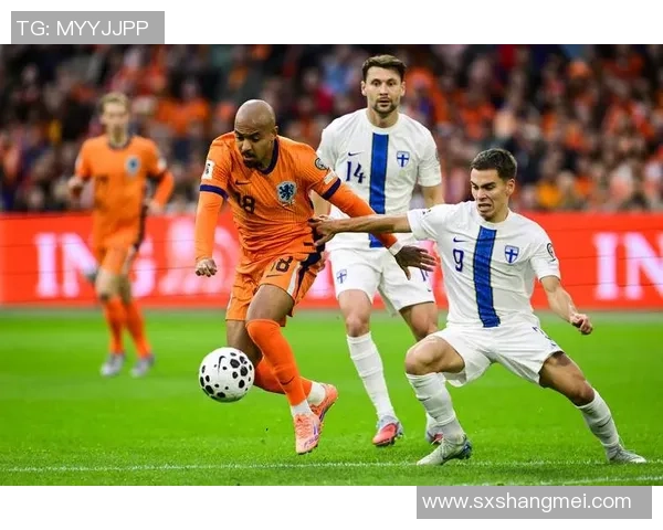 维萨拉足球：探索芬兰足球的崛起与未来发展之路