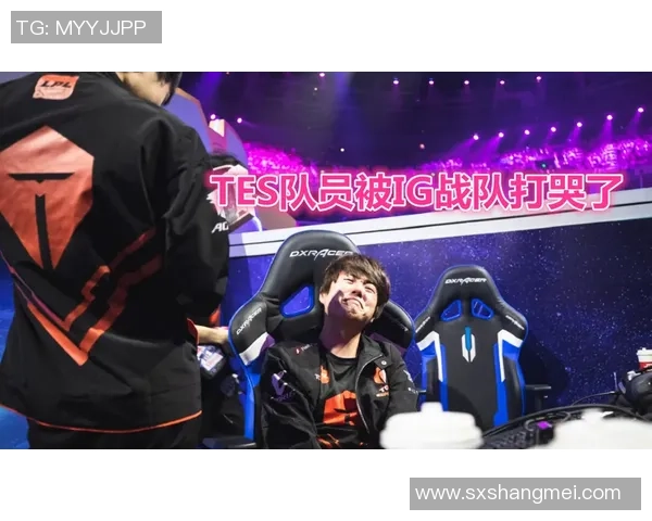 王者荣耀专题深度解析TES战队的快速崛起与战术创新之路