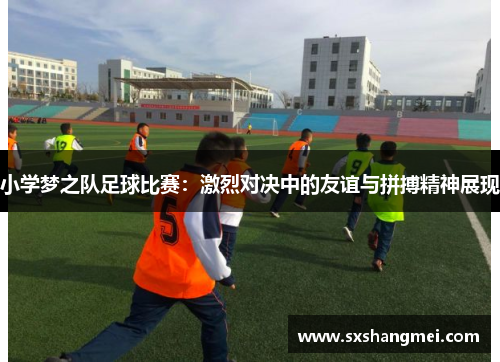 小学梦之队足球比赛：激烈对决中的友谊与拼搏精神展现